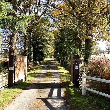 La Ferme De Pomereix Le Dorat 外观 照片